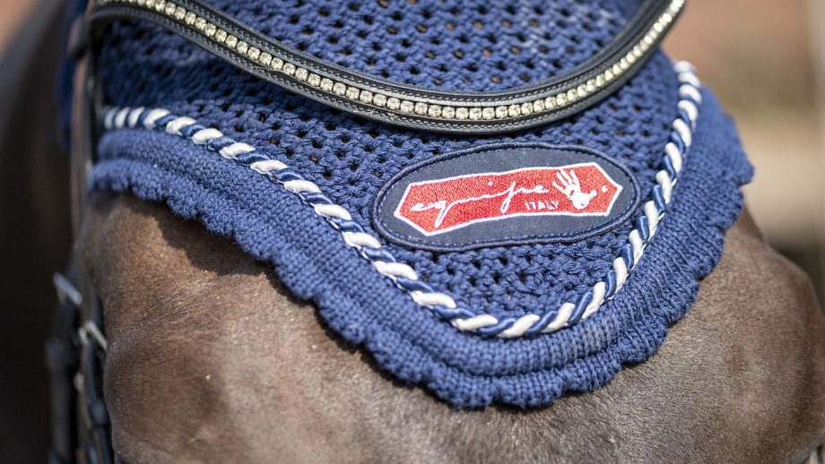 Equipe fly veil review