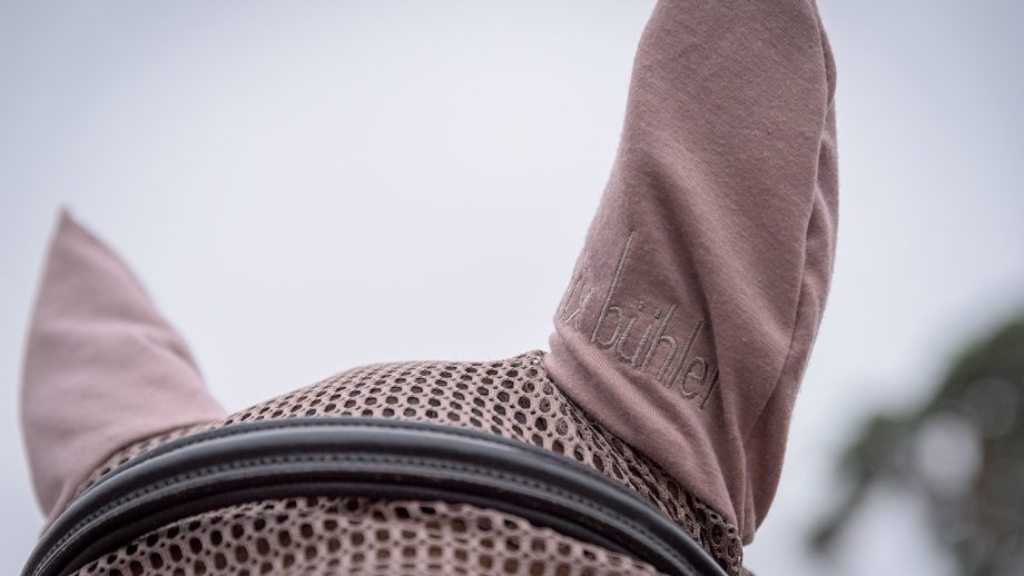 Felix Bühler Economy Light fly veil review