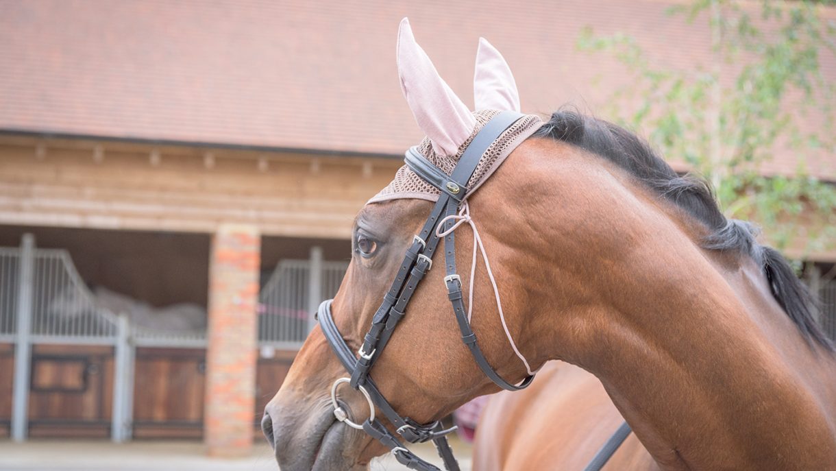 Felix Bühler Economy Light fly veil review Horse & Hound