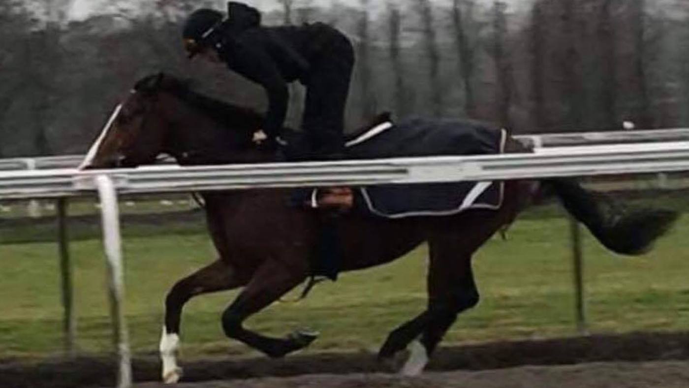 Rider’s hat warning after breaking her neck in fall Horse & Hound