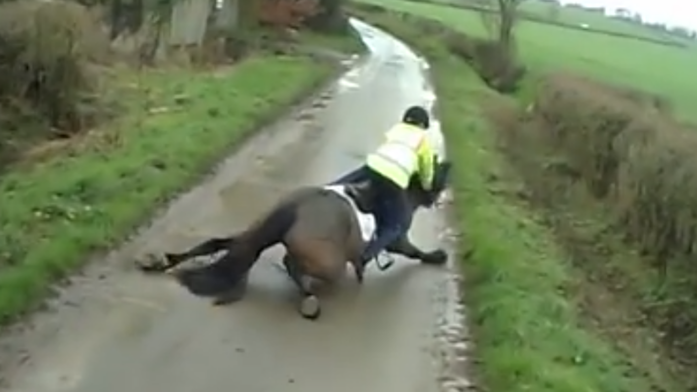 Owner hopes viral video of horse falling on road will educate drivers
