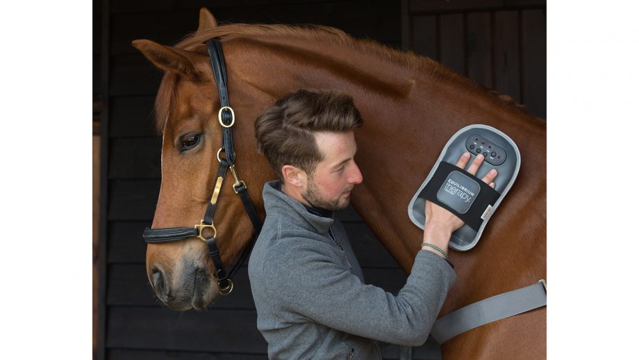 Subscribe to Horse & Hound and get Equilibrium Therapy Massage Mitt