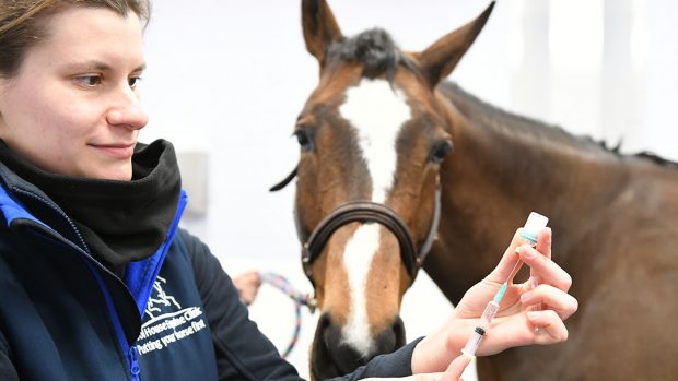 Vet and Support staff performing a Tetanus vaccination on a horses leg a horse at the Pool House Equine Clinic near Lichfield in Staffordshire in the UK on the 6th February 2019