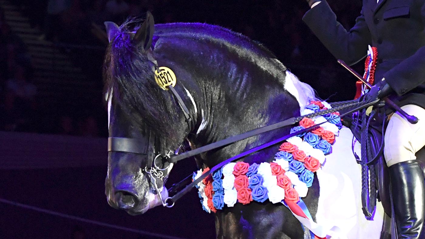 Horse & Hound