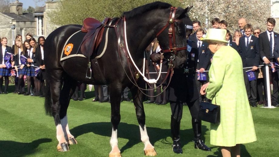 The Queen and her horses