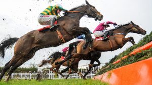 Naming a racehorse Meath , Ireland - 4 December 2016; A general view of runners and riders on their first time round including Anibale Fly, left, with Barry Geraghty up, and A Toi Phil, with Bryan Cooper up, during the Bar One Racing Drinmore Novice Steeplechase at Fairyhouse Racecourse in Ratoath Co Meath. (Photo By Cody Glenn/Sportsfile via Getty Images)