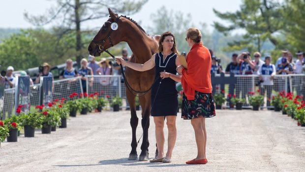 Kentucky first trot-up
