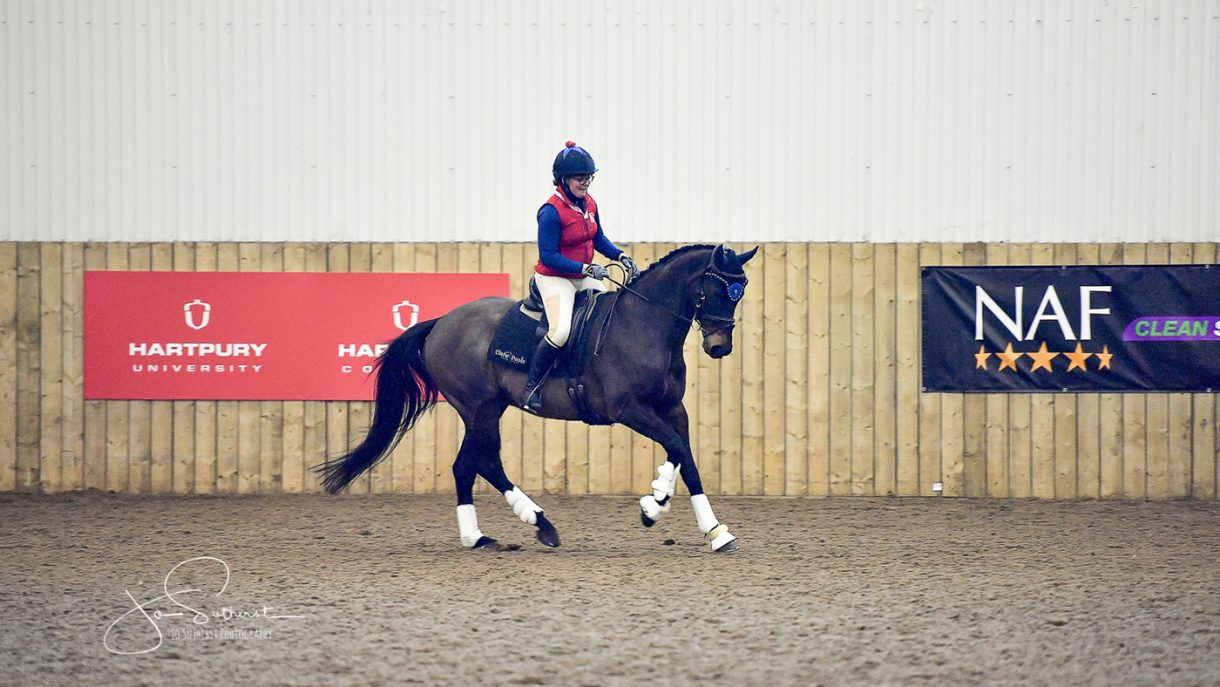 Clare Poole’s racehorse to riding horse blog extreme planning Horse