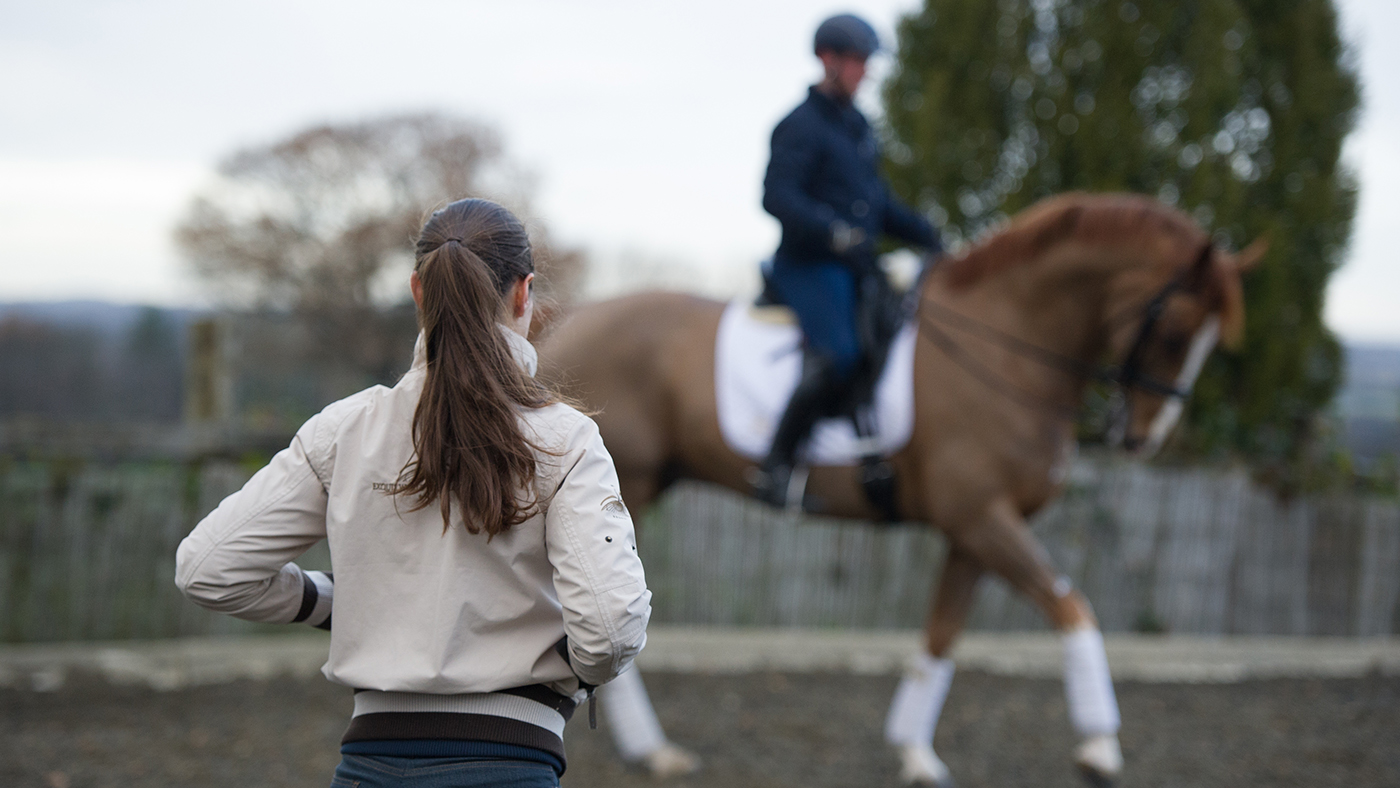 Buying a horse viewing prospective horses Horse & Hound