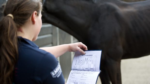 Comparing a horse to its passport