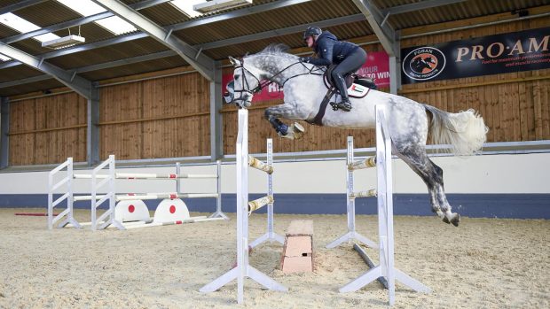 Colmar in action at home at Breen Equestrian at Hickstead.