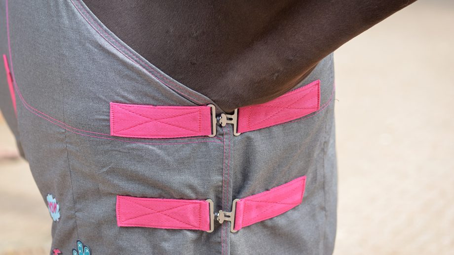 Thermomaster summer stable rug review