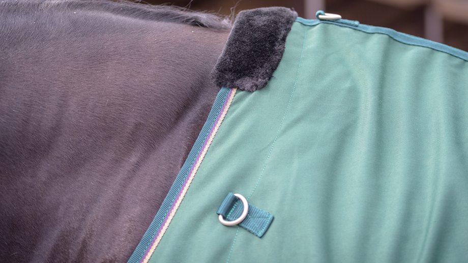 Kensington All Around day sheet review