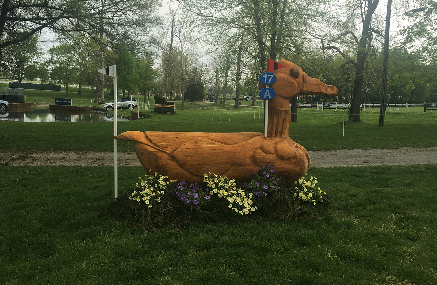 Kentucky cross-country course 2019