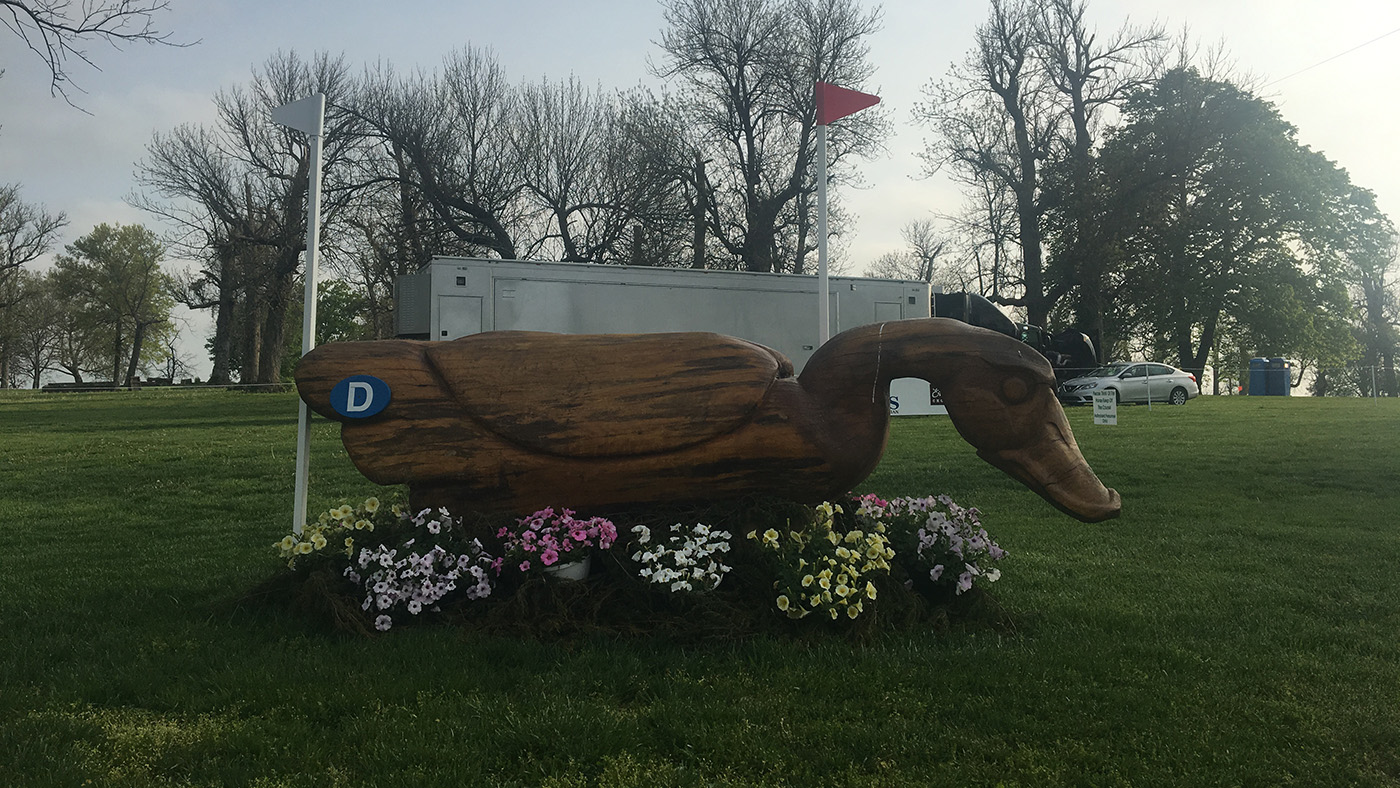 Kentucky cross-country course 2019