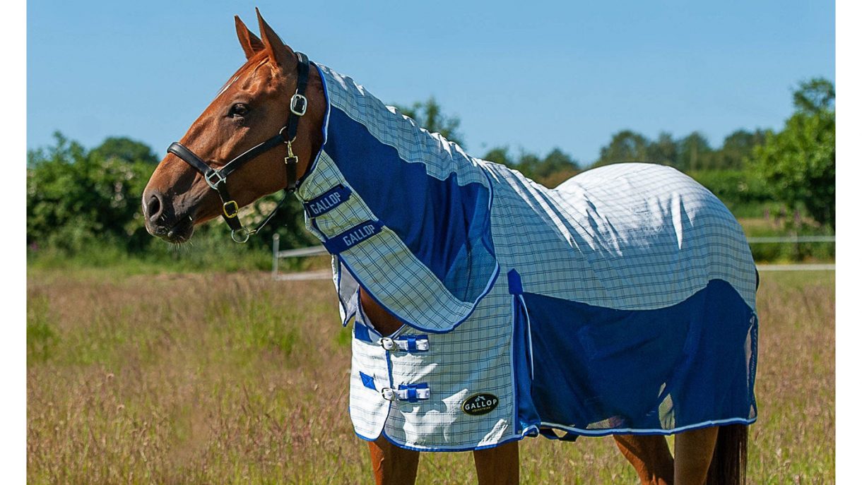 Best summer sheets for horses for UV protection Horse & Hound