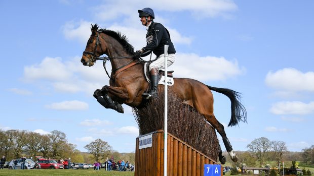 William Fox-Pitt Little Fire Belton