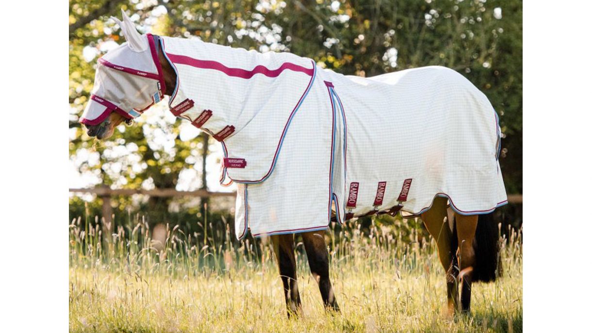 Best summer sheets for horses for UV protection Horse & Hound