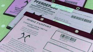 Southern Cross Stud Visit. Meopham, Kent. UK. Horse passport paperwork, administration, documents.