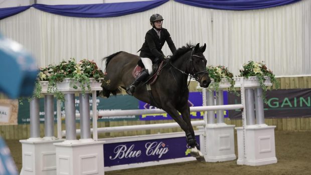 Blue Chip Winter Championships 2019 Class 02-Voltaire Design Novice Championship Winner 0567 - Kimba Kasino and Emma Jo Slater