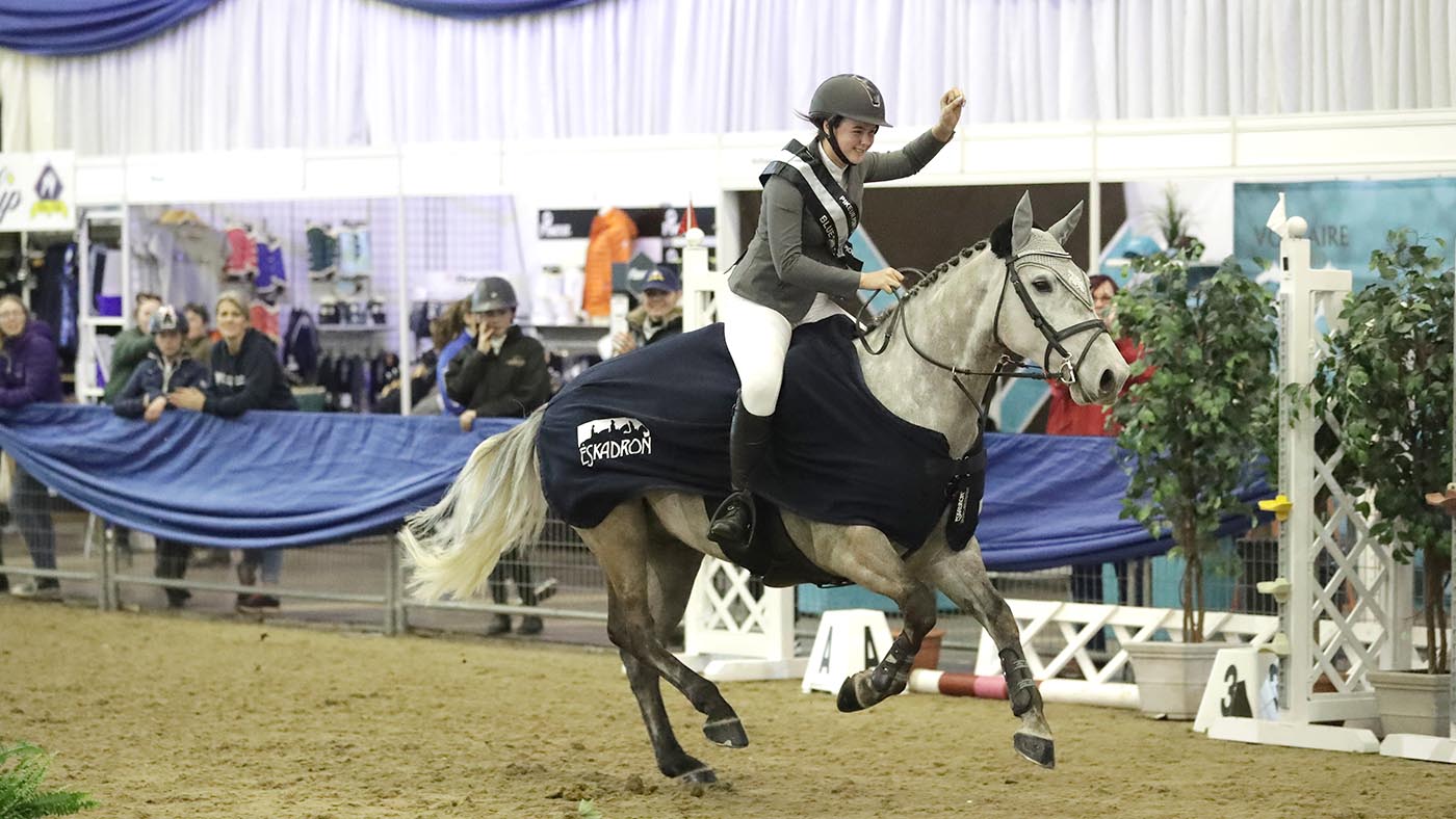 Blue Chip Winter Championships 2019  Class 29 Winner 1074 - Lord French and Neve Gill Pikeur Pony Novice Championship  0 90