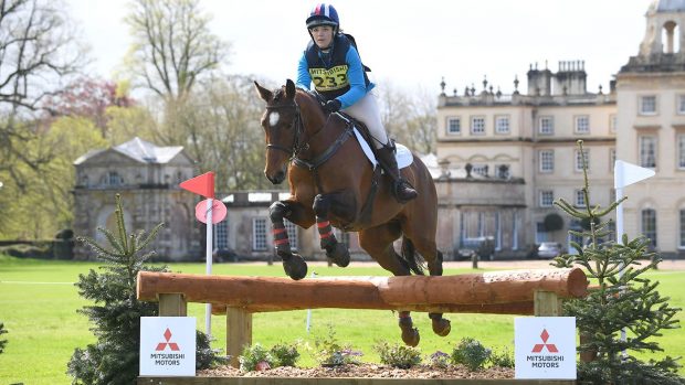 Mitsubishi Motors Cup future