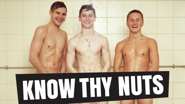 know thy nuts movember british champions series