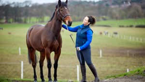 Horse being looked after by owner at livery yard, fields