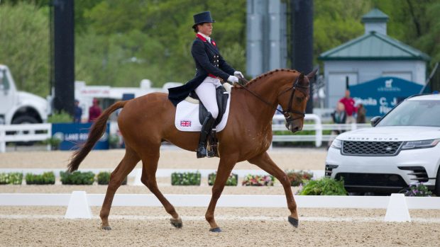 Kentucky dressage Piggy French