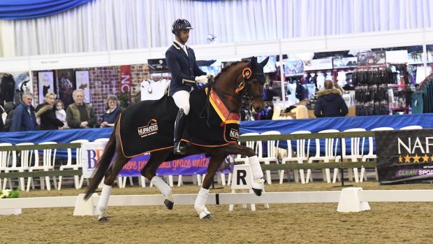 Dannie Morgan Knoxxs Figaro