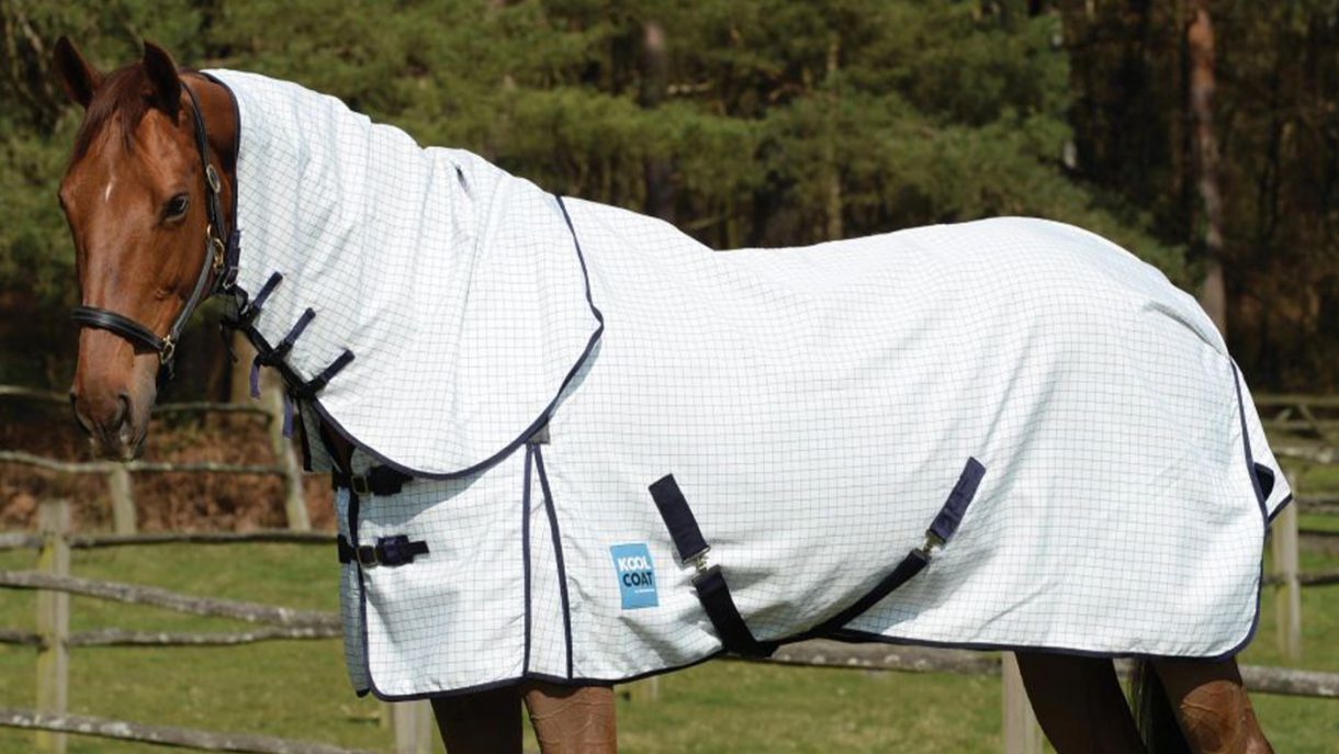 Best summer sheets for horses for UV protection Horse & Hound