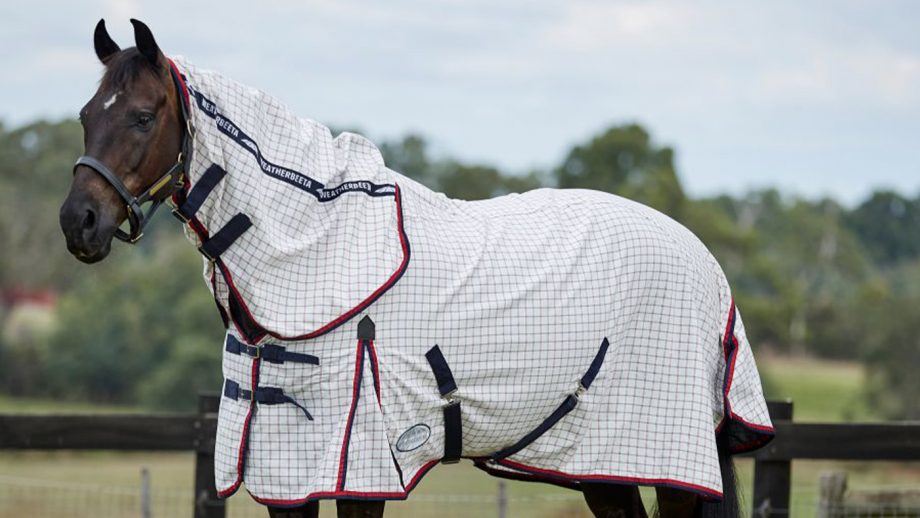 Best summer sheets for horses for UV protection Horse & Hound