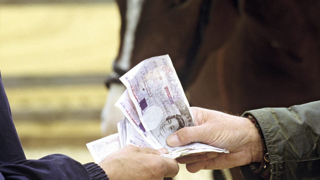 Buying a horse final questions, payment and when you get your new