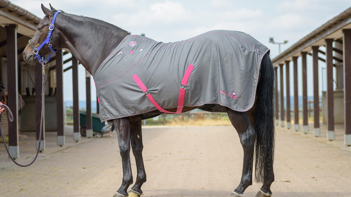 Best summer sheets Horse & Hound’s tester ranks her favourites