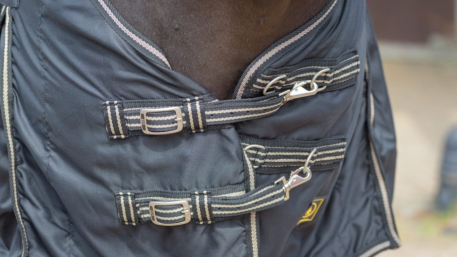 BR Classic cotton rug review