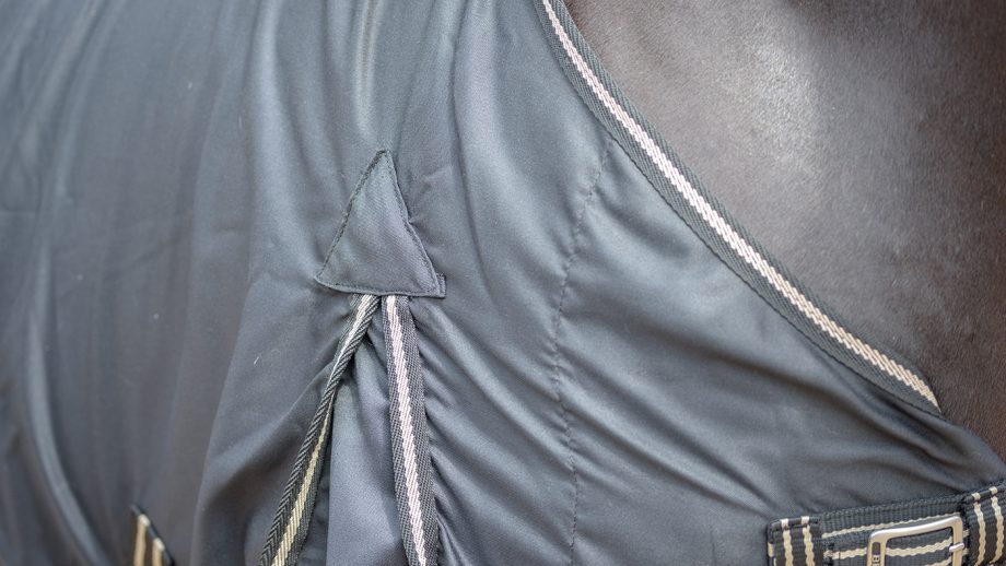 BR Classic cotton rug review