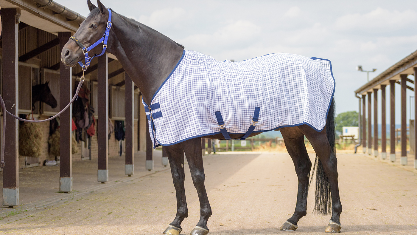 Best summer sheets Horse & Hound’s tester ranks her favourites