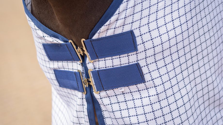 Traditional Tattersall rug review