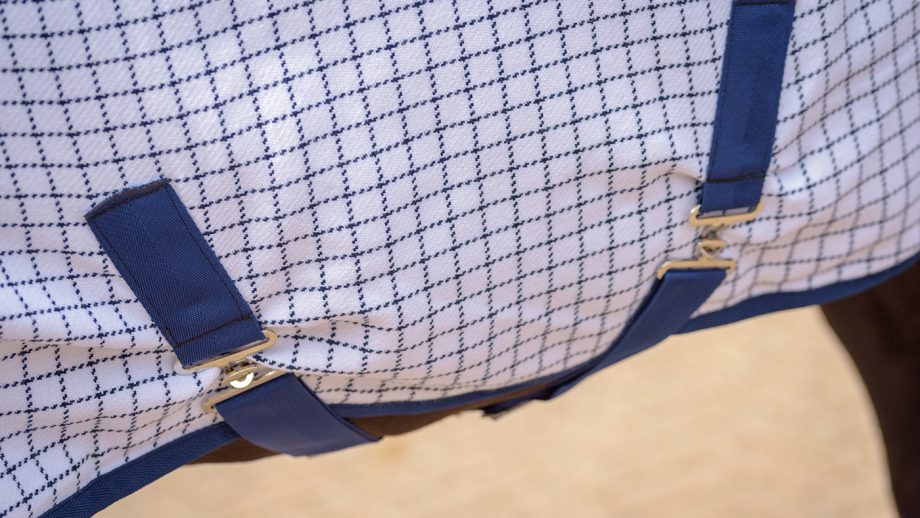 Traditional Tattersall rug review