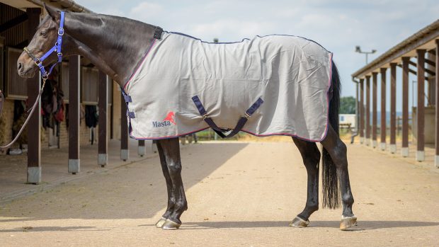 Masta Avante cotton summer sheet review