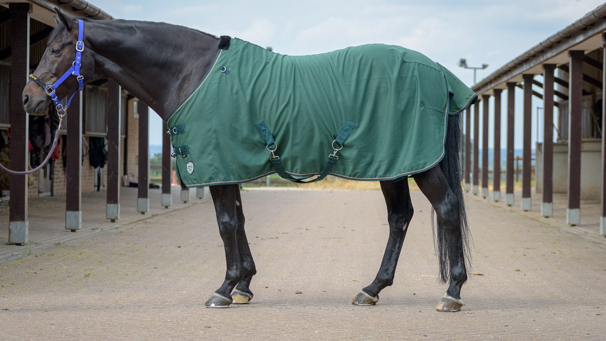 Best summer sheets Horse & Hound’s tester ranks her favourites