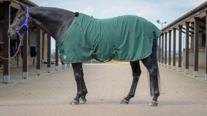 Kensington All Around day sheet review