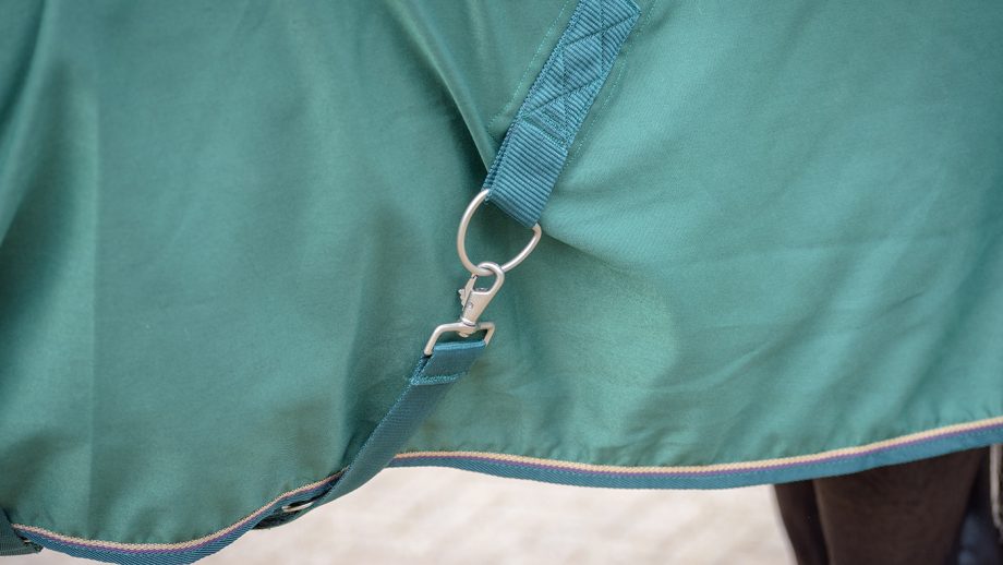 Kensington All Around day sheet review