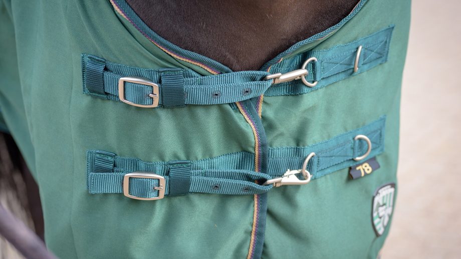 Kensington All Around day sheet review