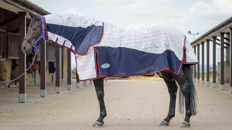 WeatherBeeta Breeze with surcingle III review