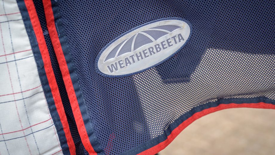 WeatherBeeta Breeze with surcingle III review