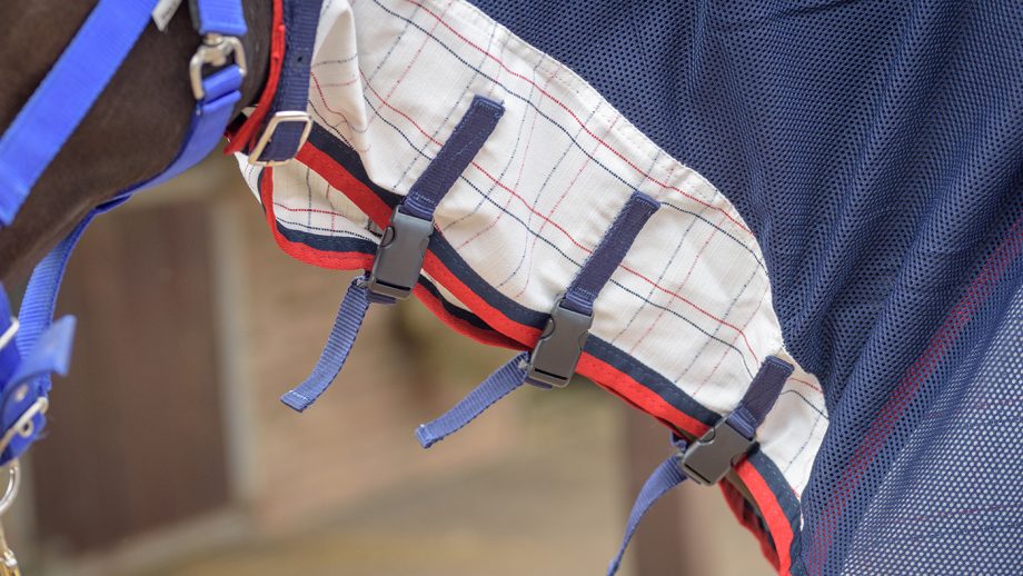 WeatherBeeta Breeze with surcingle III review