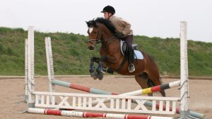 CXH6WK showjumping training