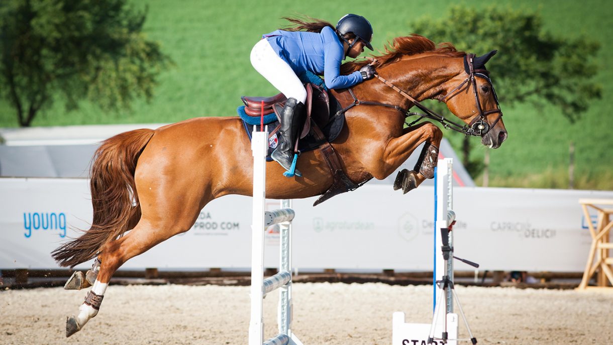 How to buy a showjumper, with top riders’ tips for success Horse & Hound