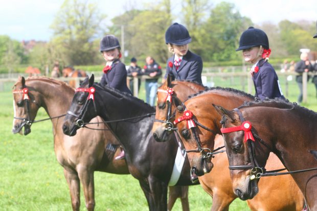Ponies UK South Spring Show, 5th May 2012, General Views of Pony line up